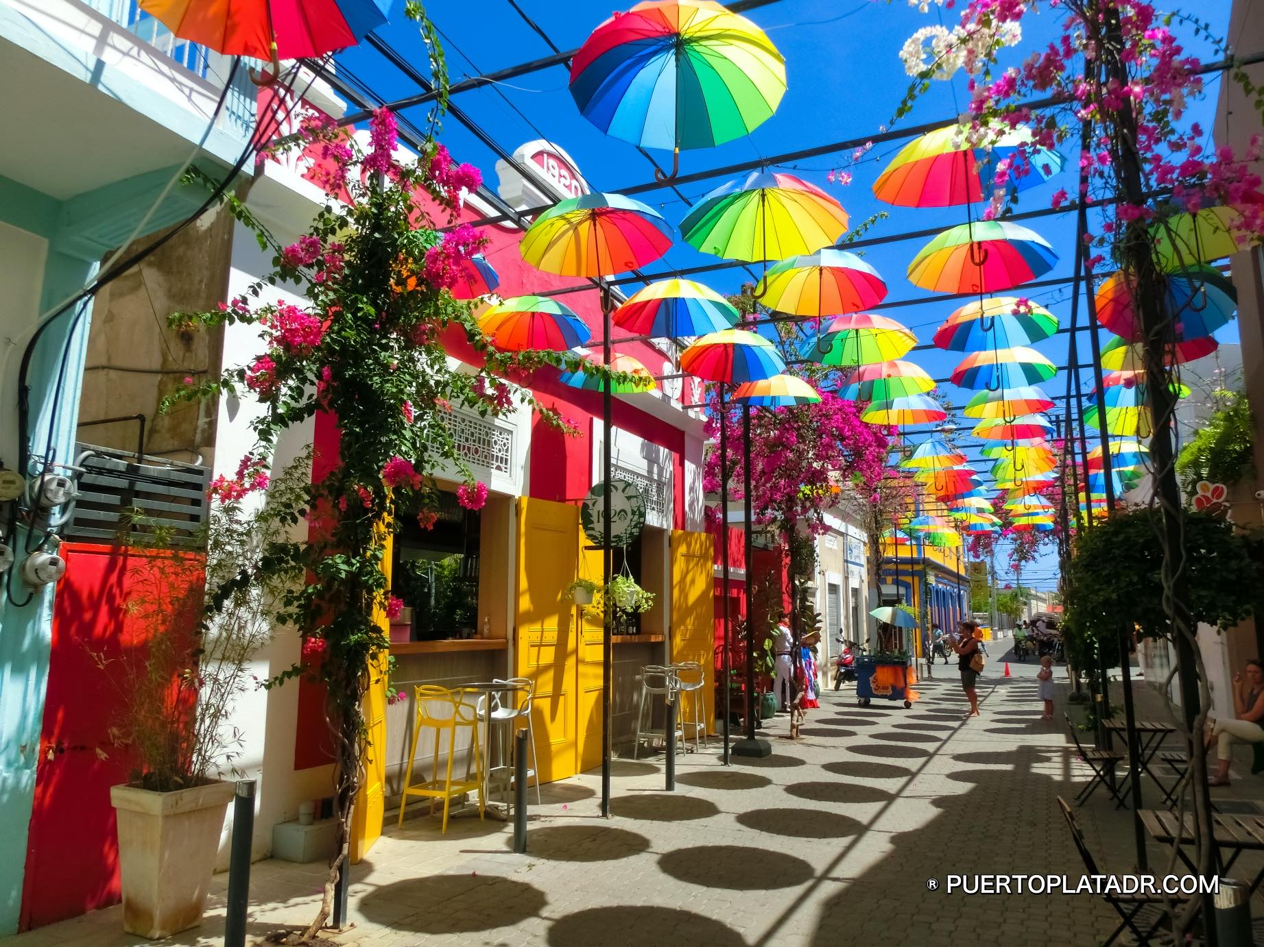 Vibrant Dominican Spirit