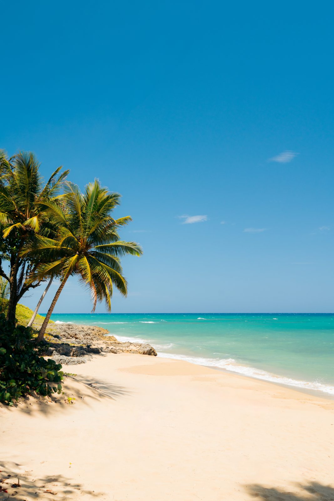 Caribbean beach