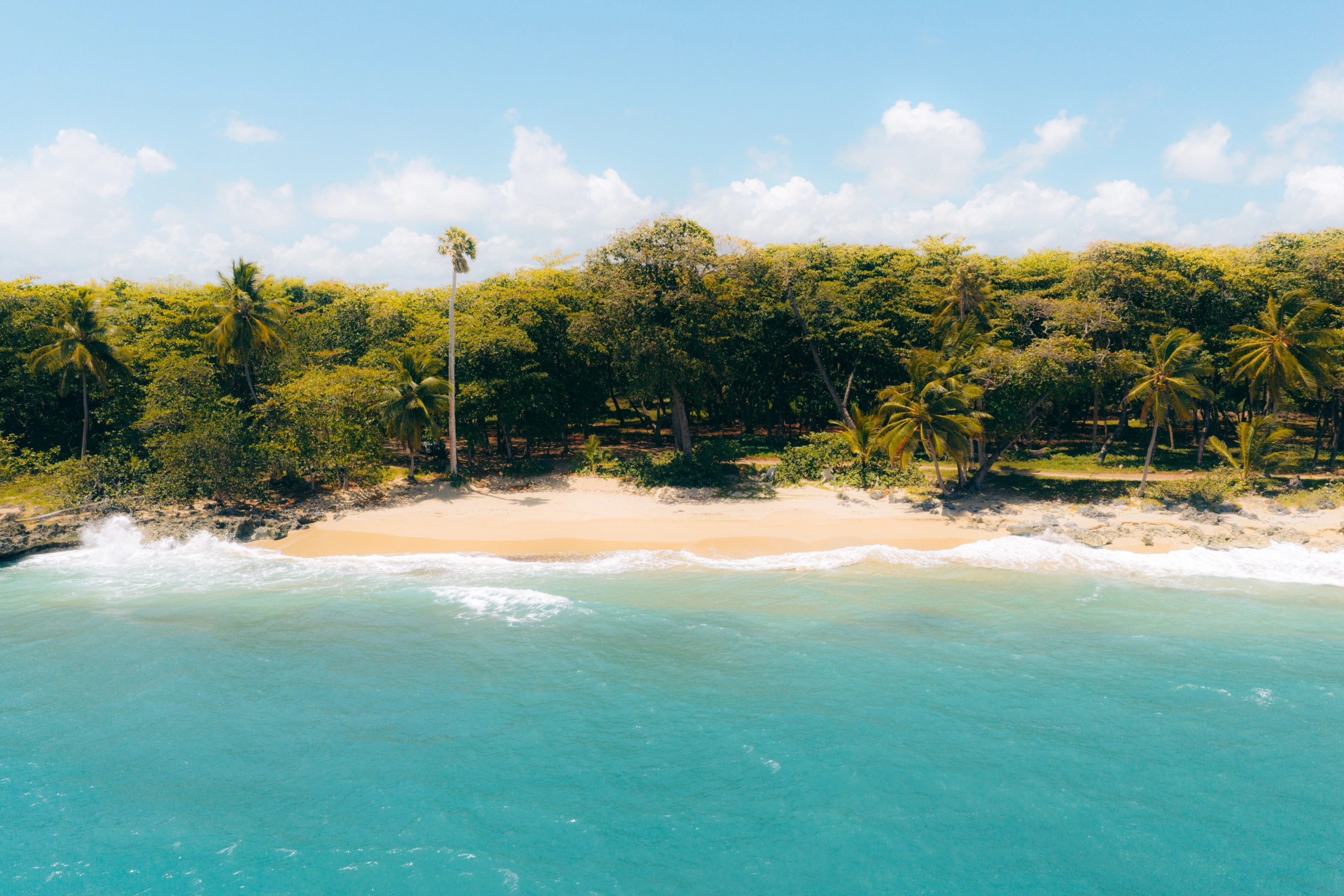 Caribbean coast
